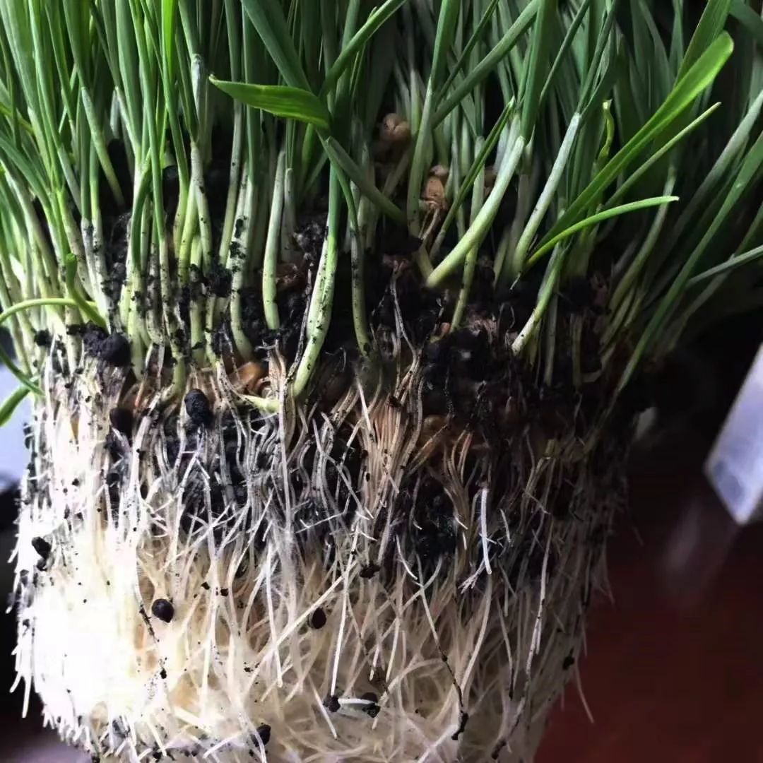 核动力能提供多大动力,核动力能一直提供能量吗