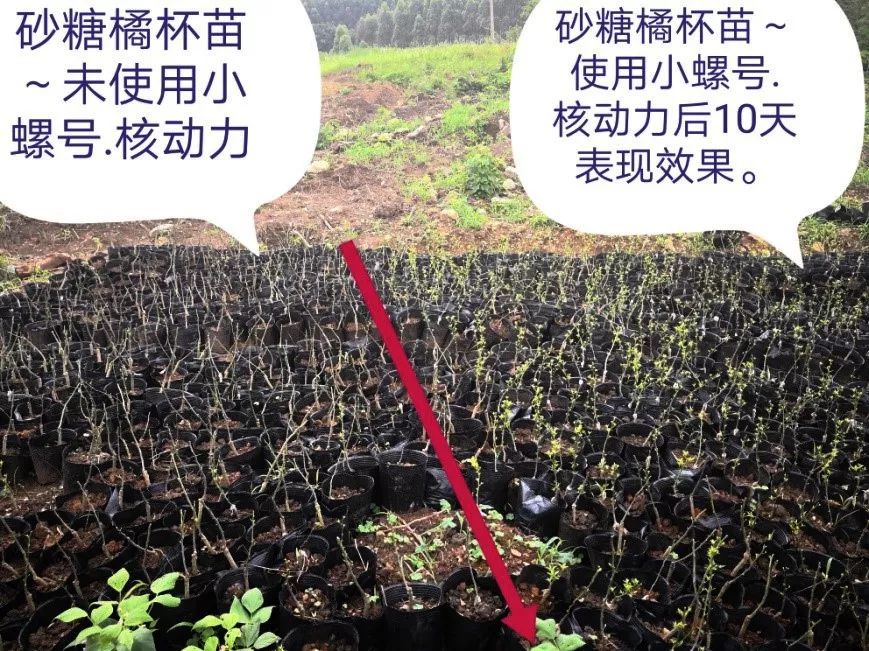 核动力能提供多大动力,核动力能一直提供能量吗