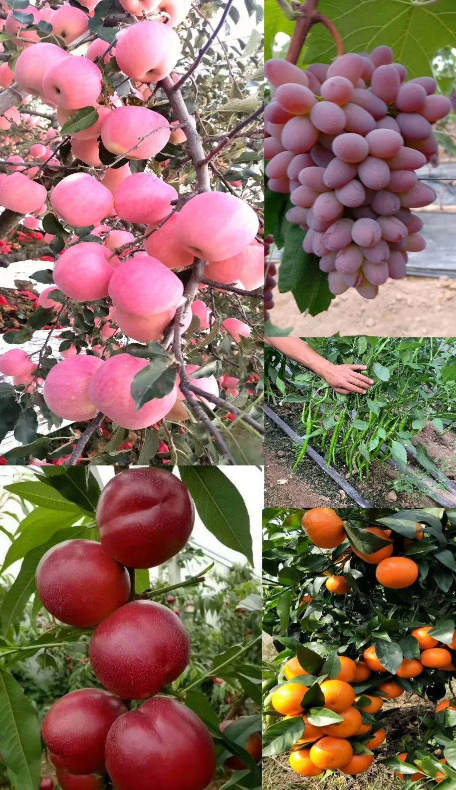 核动力能提供多大动力,核动力能一直提供能量吗