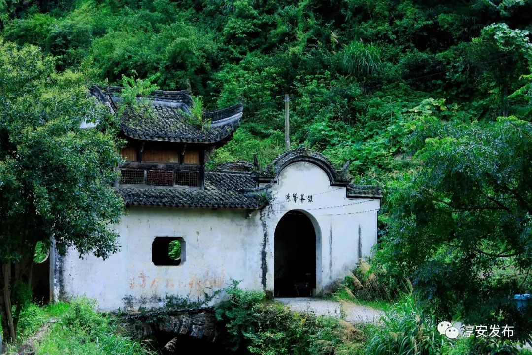 30年前的千岛湖是什么样的,曾经被污染的千岛湖