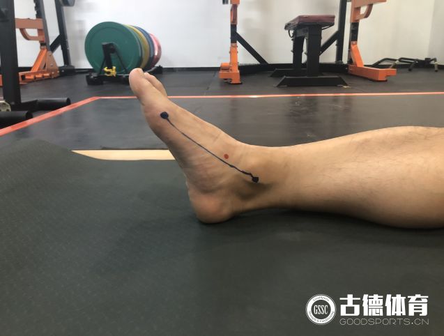 足底足跟痛,足底踮脚疼