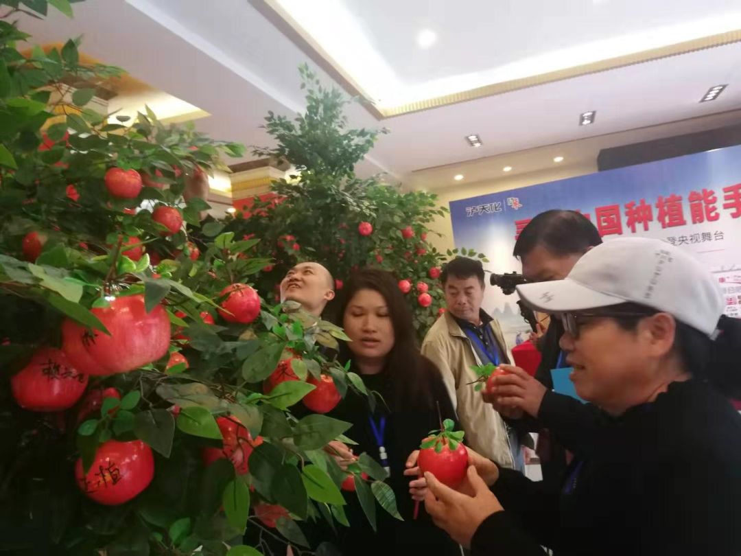 泸天化九禾西南分公司,泸天化九禾股份有限公司怎么样