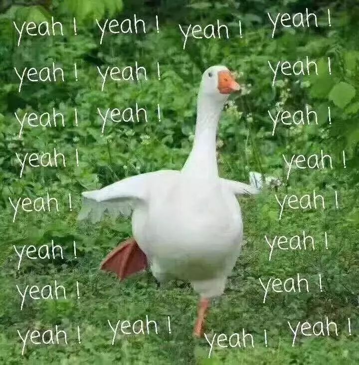 空瓶的意义,空瓶有什么意义