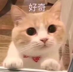 第一次了解自己的家乡,从第一次知道自己名字开始