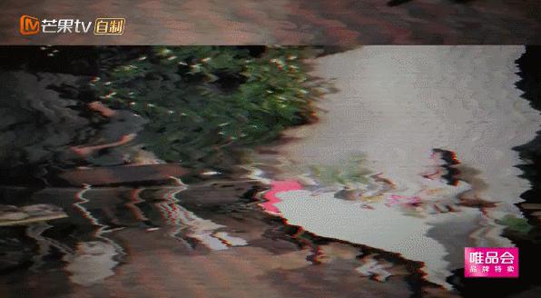 凌潇肃吐槽一个讲韩语一个讲粤语,凌潇肃接机