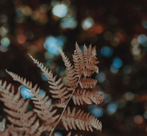 教育号公众号推荐,微信上的教育公众号有哪些