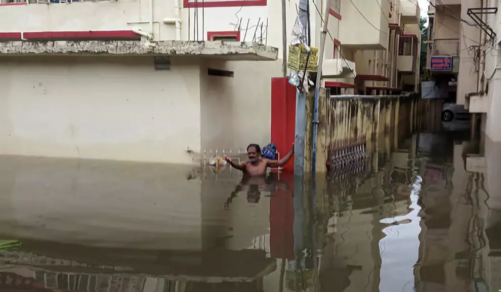一颗洋葱让我泪流满面,印度为什么会出现洋葱危机
