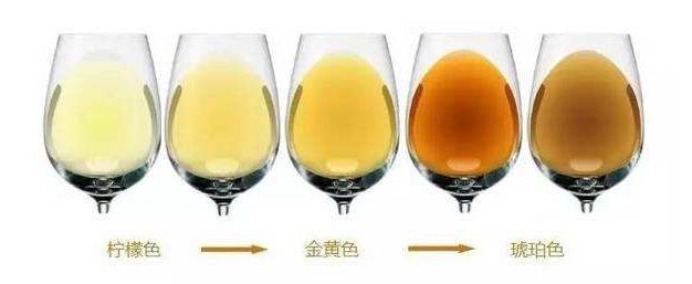 如何挑一款好喝的起泡酒,论酒点评