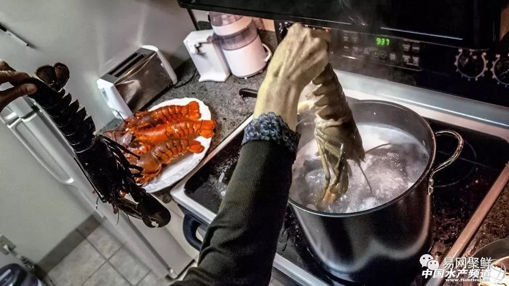 大数据分析中国海产消费者需求