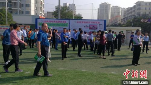 国家体育总局足球发展规划,足球场建设项目基本情况