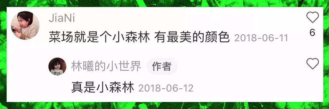 你家楼下的菜市场成了当代青年的马尔代夫