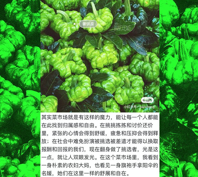 你家楼下的菜市场成了当代青年的马尔代夫