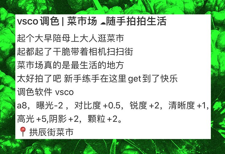 你家楼下的菜市场成了当代青年的马尔代夫