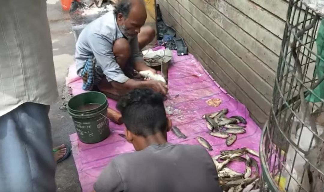 你家楼下的菜市场成了当代青年的马尔代夫