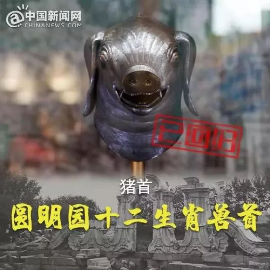 马首回归圆明园十二兽首现状,马首铜像回归圆明园二周年