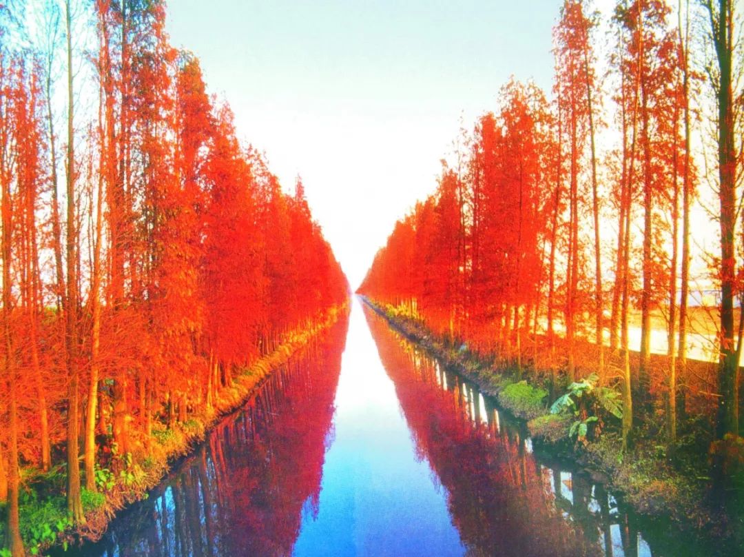 小众旅游地湖北美食多,湖北旅游美食攻略