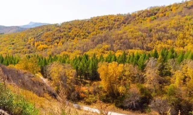 小众旅游地湖北美食多,湖北旅游美食攻略