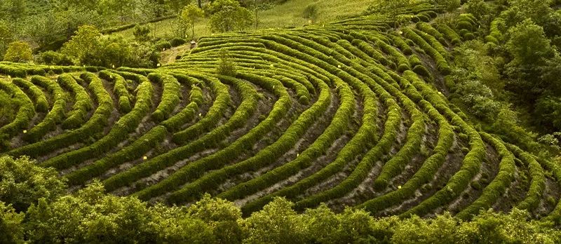 小众旅游地湖北美食多,湖北旅游美食攻略