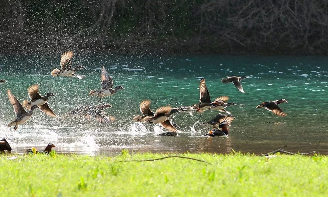 小众旅游地湖北美食多,湖北旅游美食攻略