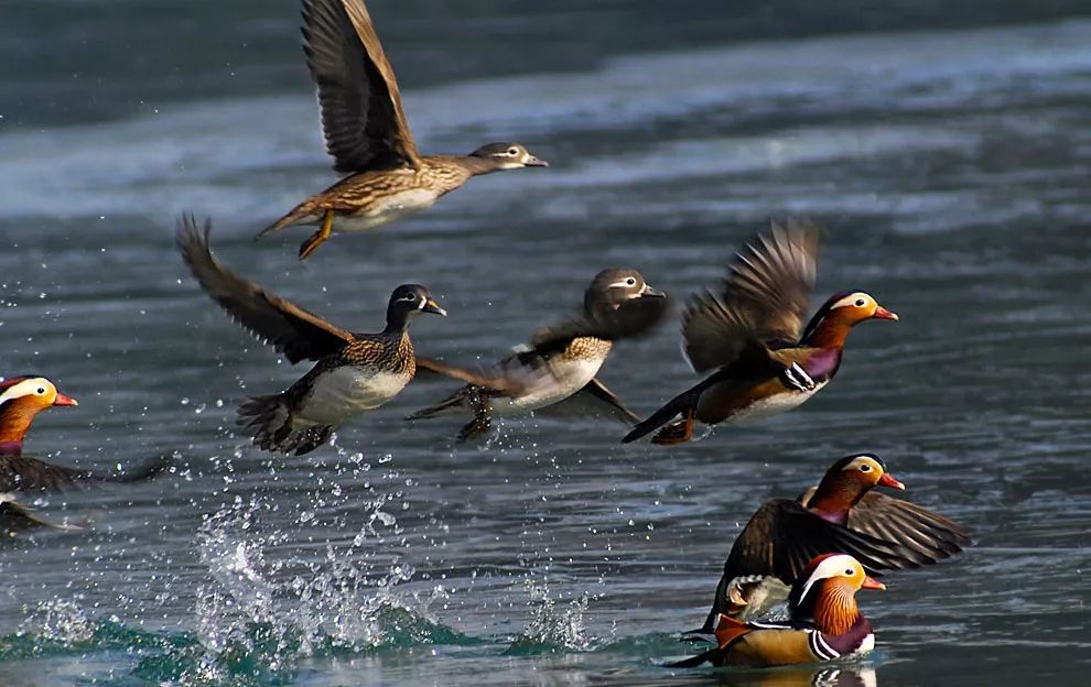 小众旅游地湖北美食多,湖北旅游美食攻略