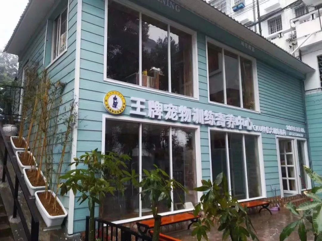 惹蜘蛛,惹了蜘蛛蜘蛛会记仇吗