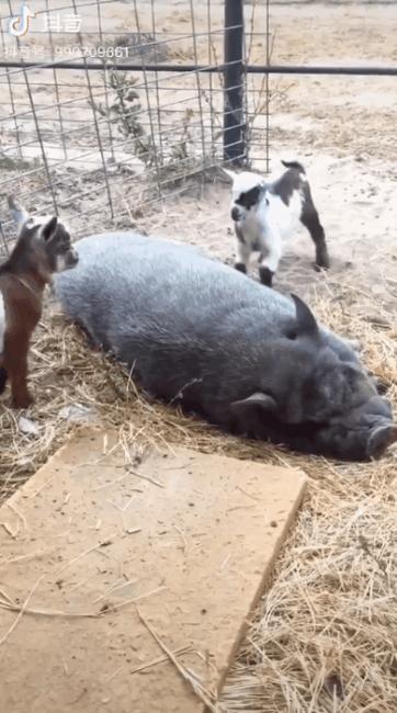 河北没存在感的一个城市,河北没有存在感的地方