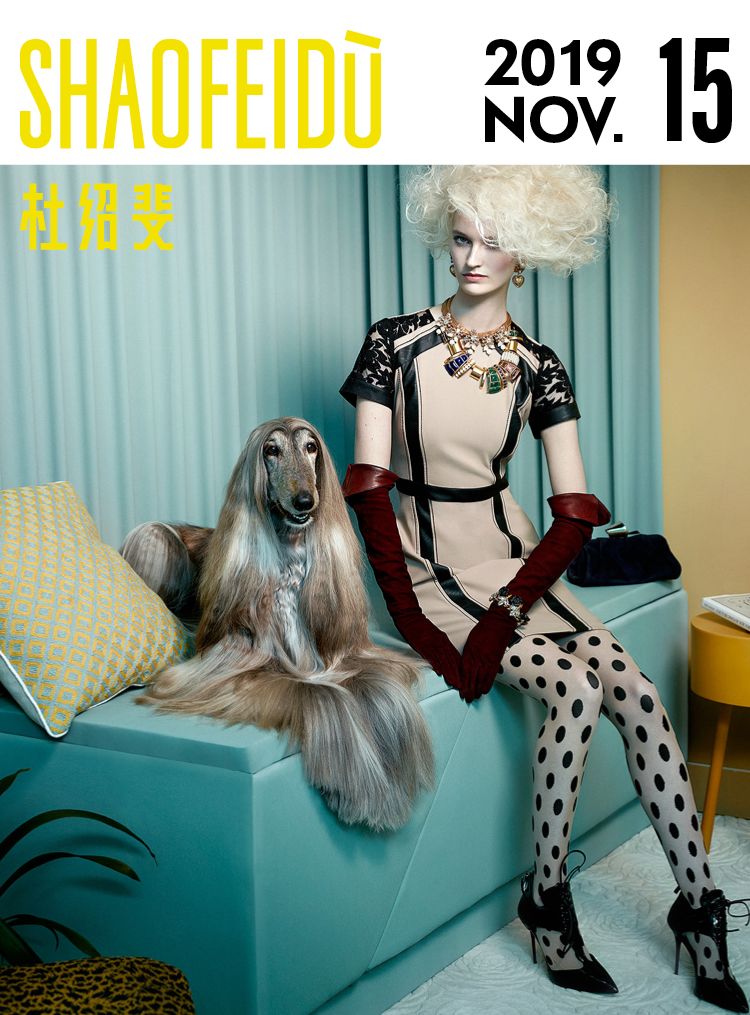 养狗的20个技巧,养狗最推荐养什么