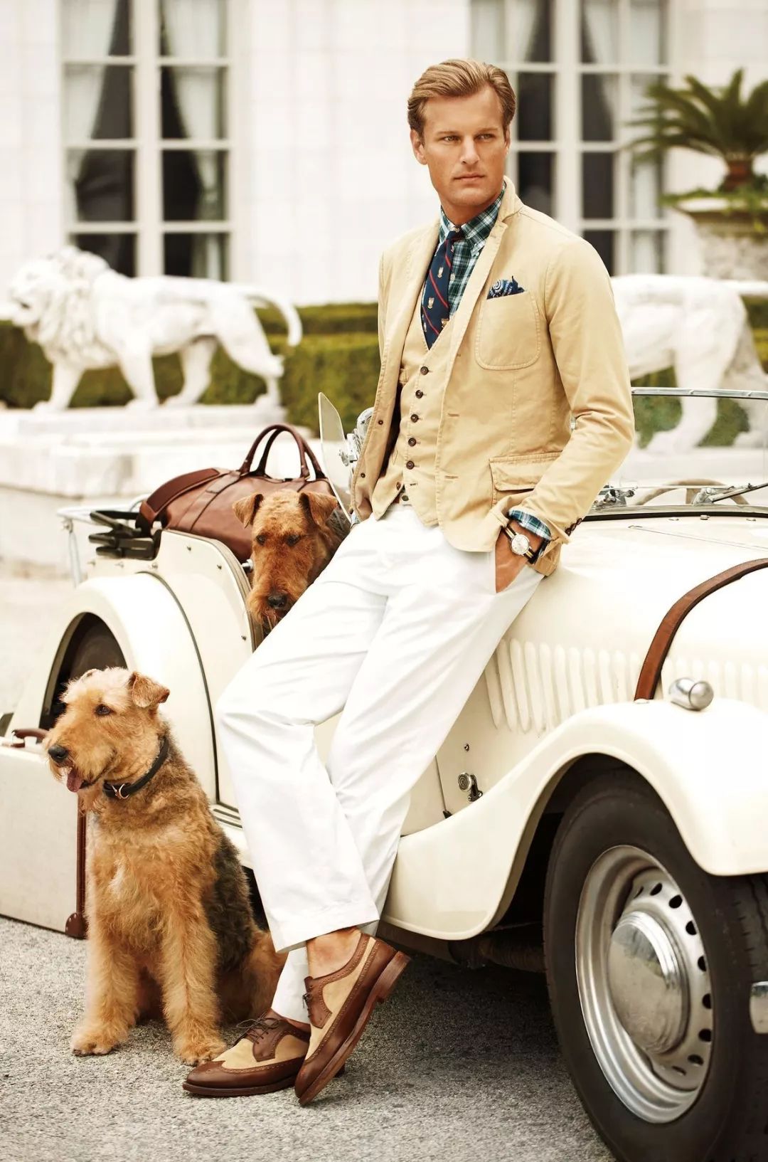 养狗的20个技巧,养狗最推荐养什么