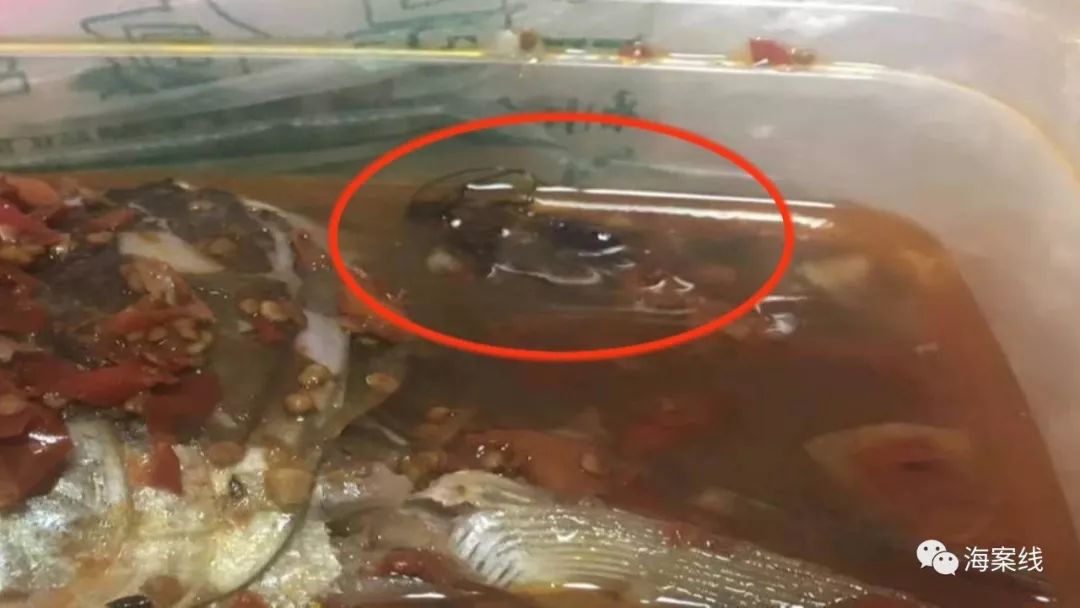 广西食品安全管理规定,广西食品安全监管哪里管理最严格