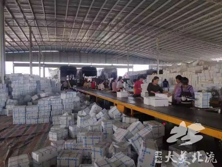 ohmygod闆堕,ohmygod瑗跨摐瑙嗛