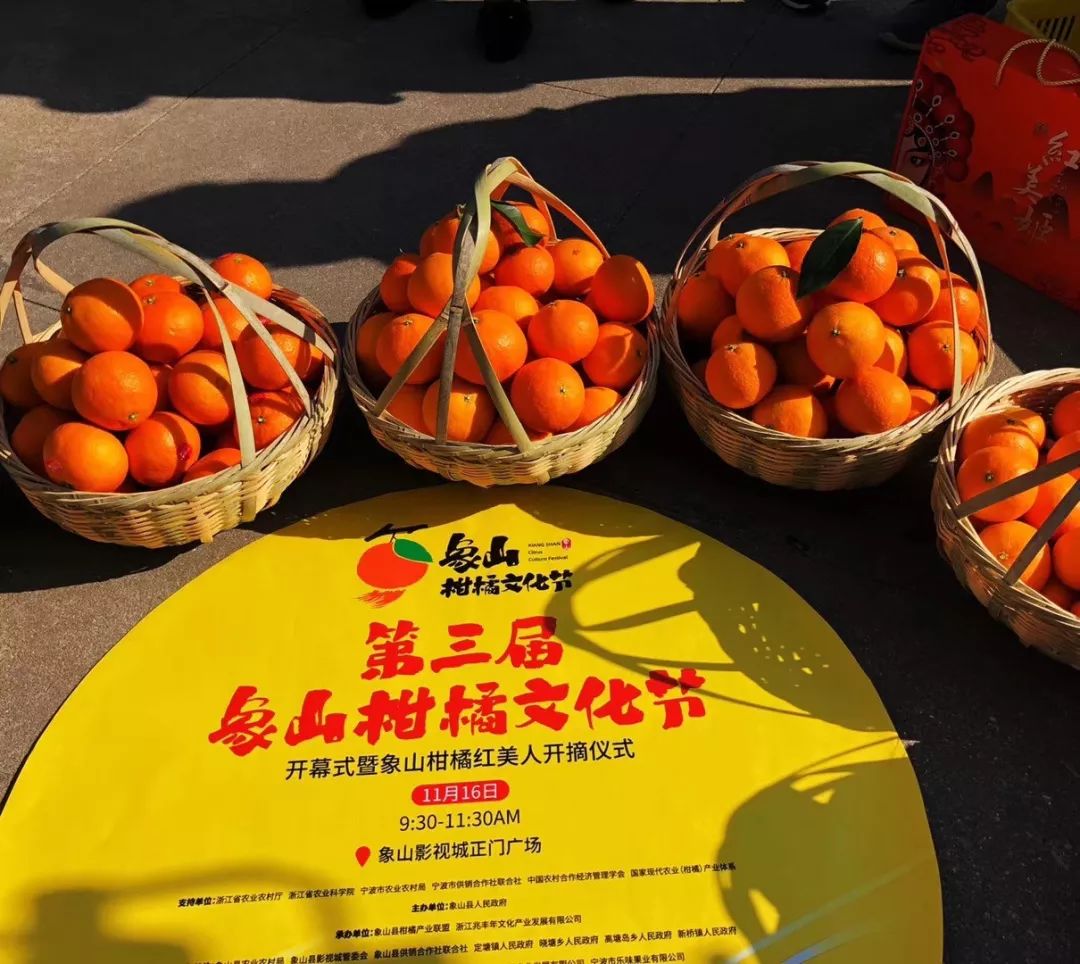 象山文化节视频,象山枇杷节开幕式