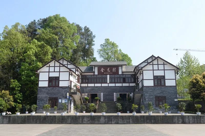 重庆市乡村旅游重点村落,重庆十大美丽乡村名单表