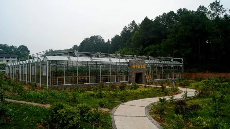 重庆市乡村旅游重点村落,重庆十大美丽乡村名单表