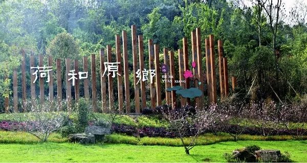 重庆市乡村旅游重点村落,重庆十大美丽乡村名单表