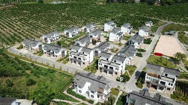 重庆市乡村旅游重点村落,重庆十大美丽乡村名单表