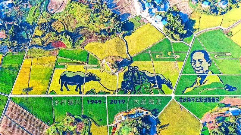 重庆市乡村旅游重点村落,重庆十大美丽乡村名单表