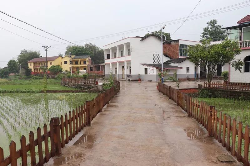 重庆市乡村旅游重点村落,重庆十大美丽乡村名单表