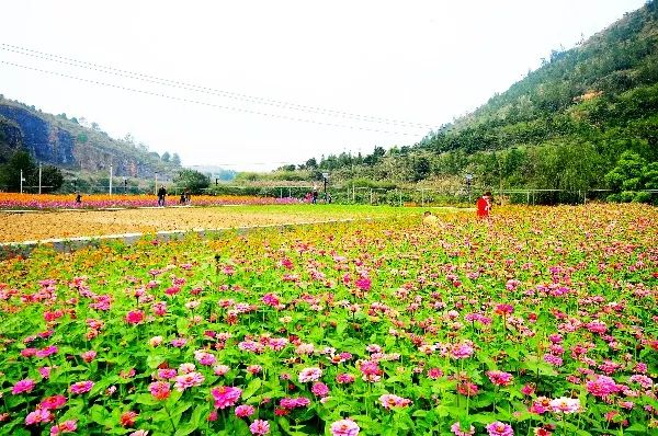 重庆市乡村旅游重点村落,重庆十大美丽乡村名单表