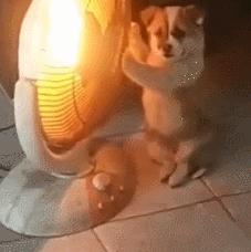 湖南寒潮黄色预警,湖南省气象台发布寒潮橙色预警