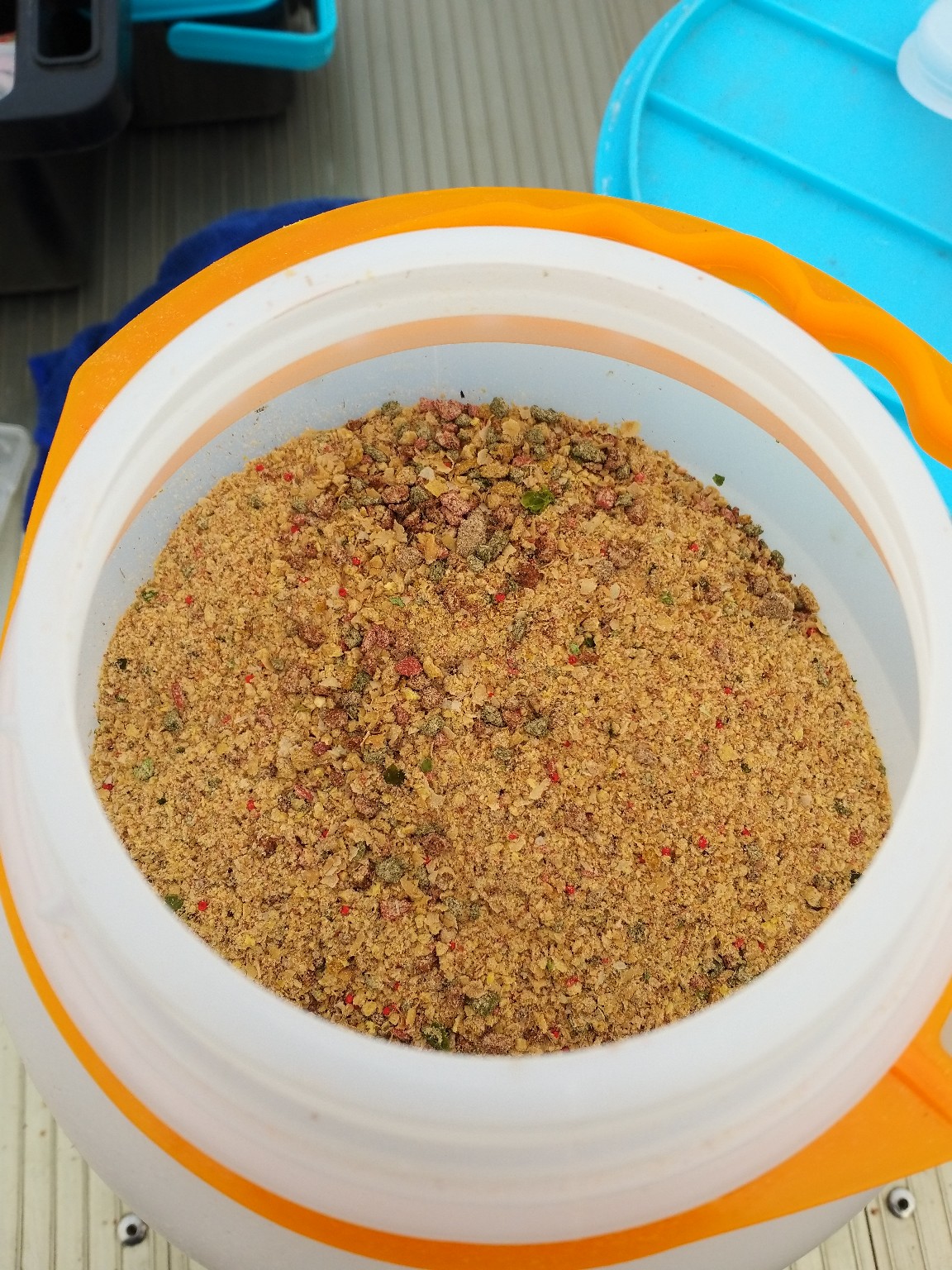 钓鲤鱼选位技巧,钓鲤鱼掐饵手法