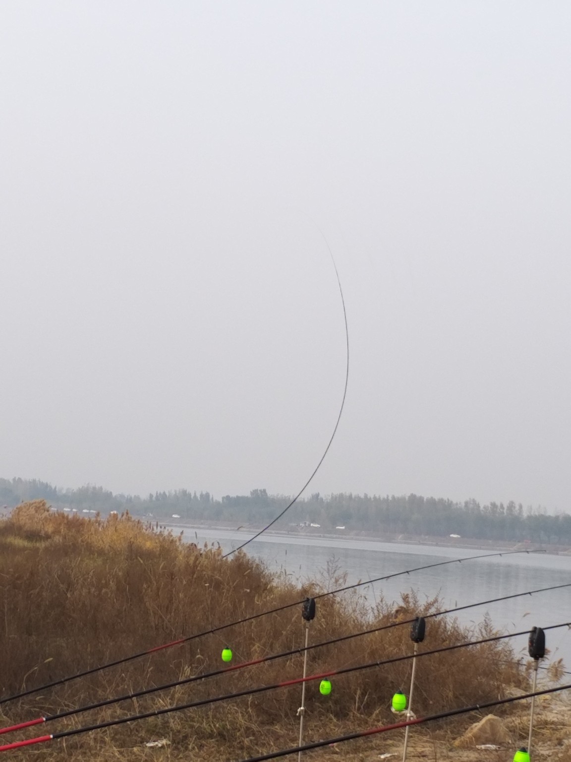 钓鲤鱼选位技巧,钓鲤鱼掐饵手法
