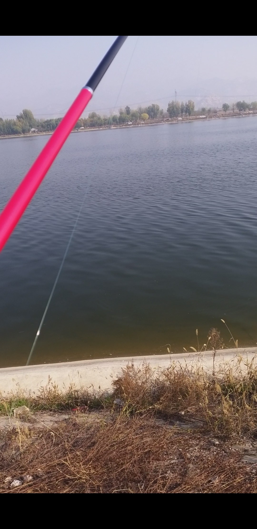 钓鲤鱼选位技巧,钓鲤鱼掐饵手法