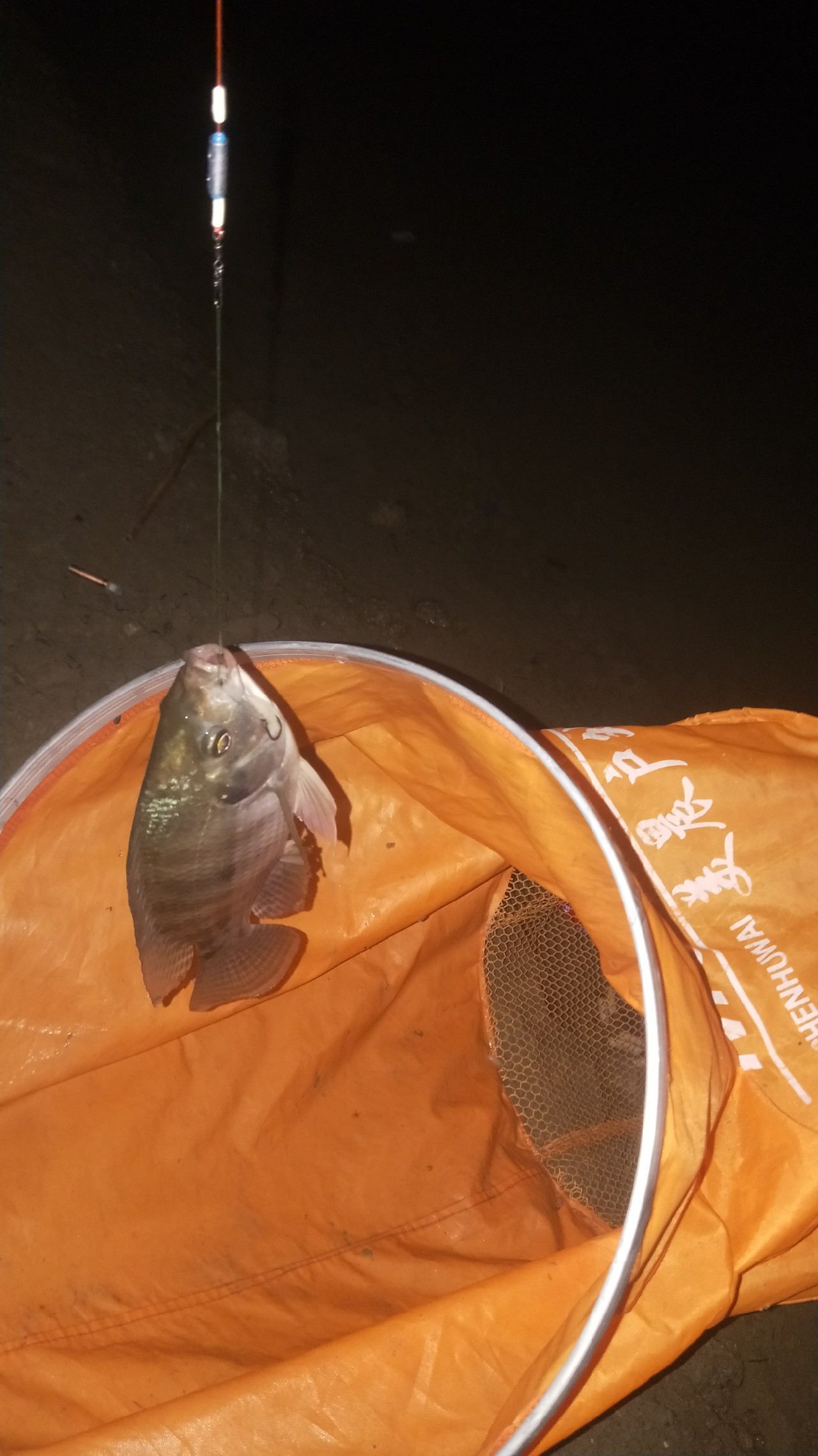 有用过老鬼饵料烧手的吗,用老鬼的饵料烧手怎么办