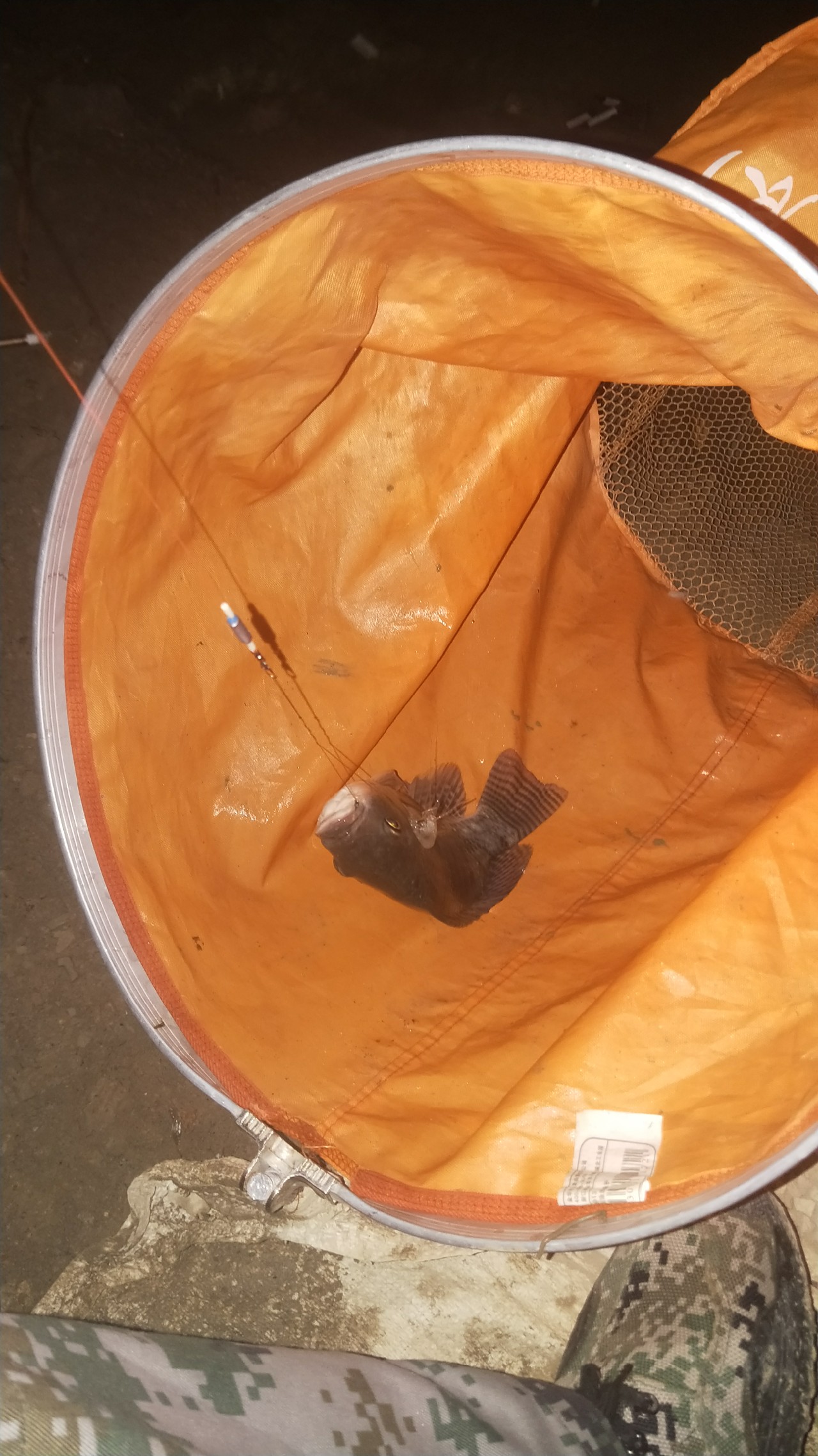 有用过老鬼饵料烧手的吗,用老鬼的饵料烧手怎么办