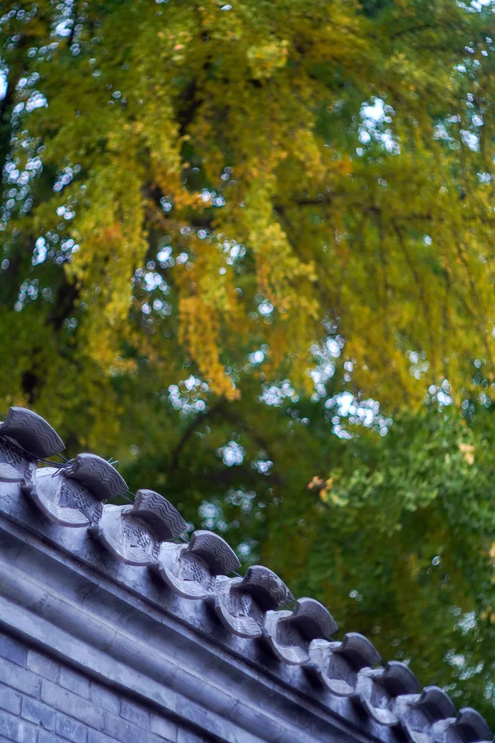 索尼alpha6100l测评,索尼新品相机阿尔法6100