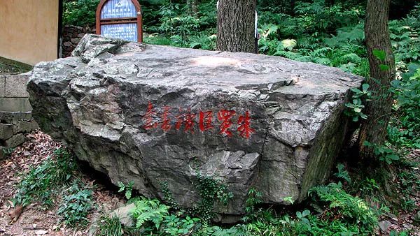 苏州藏书羊肉哪家好吃,藏书羊肉正宗做法视频