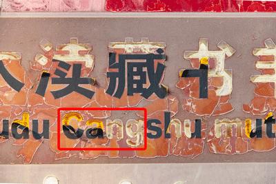 苏州藏书羊肉哪家好吃,藏书羊肉正宗做法视频