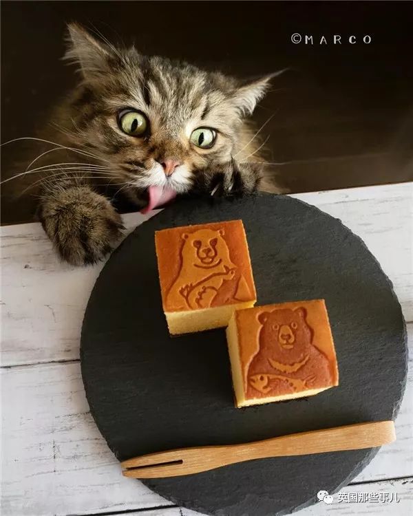 喵星人吃起来真香看的都想吃一口 (喂喵星人吃饭一副生无可恋的表情)