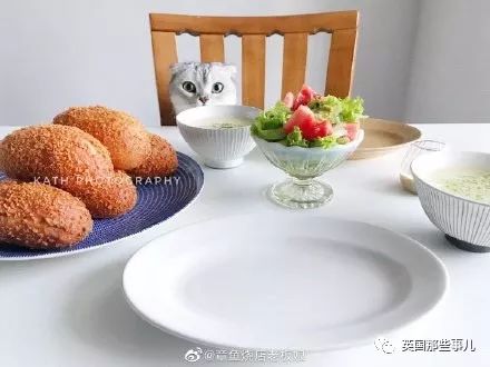 喵星人吃起来真香看的都想吃一口 (喂喵星人吃饭一副生无可恋的表情)