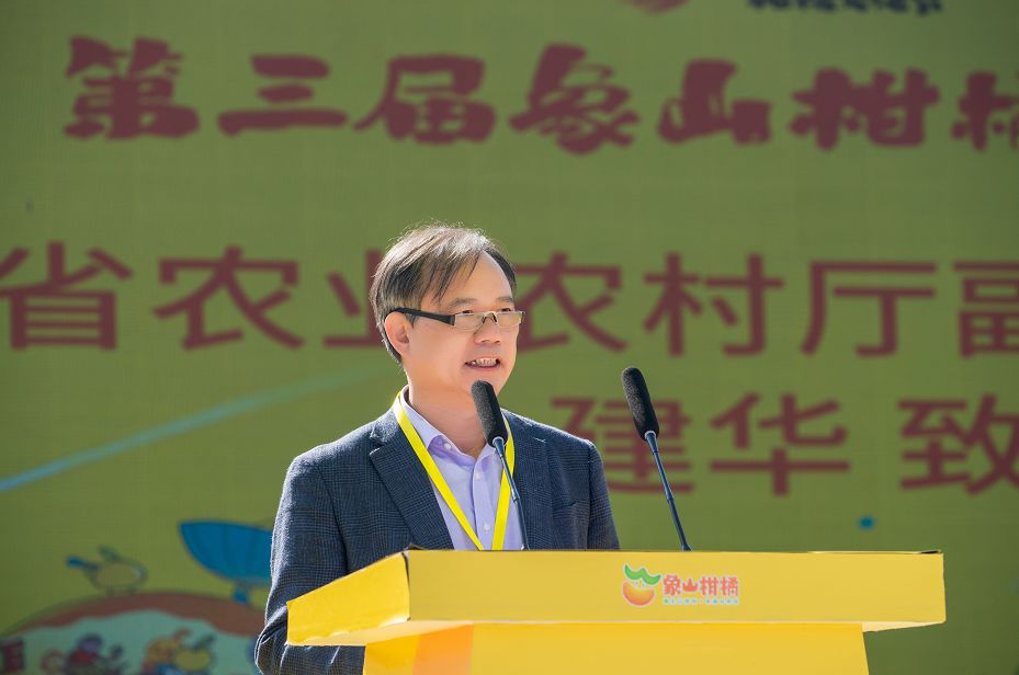 象山文化节视频,象山枇杷节开幕式